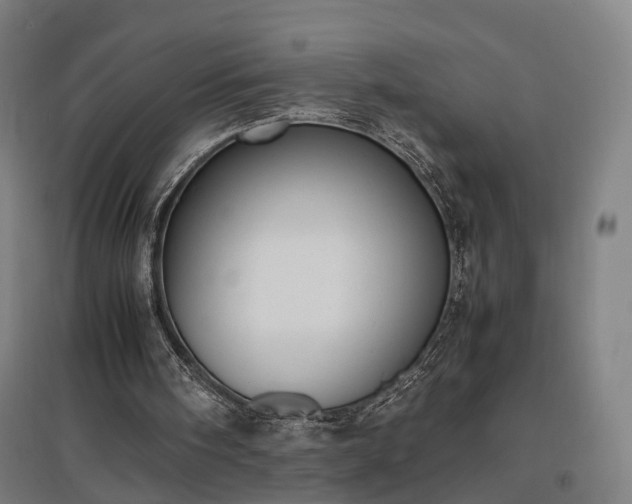 X0000096960098200802151245