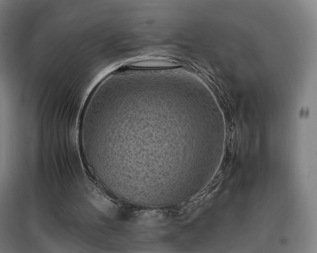 X0000096960100200802151245