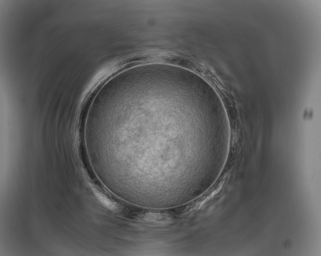 X0000096960101200802151245