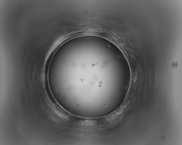 X0000096960102200802151245