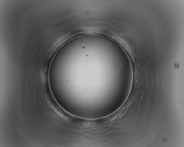 X0000096960105200802151245