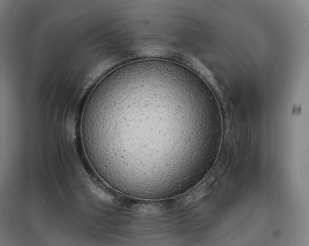 X0000096960106200802151245