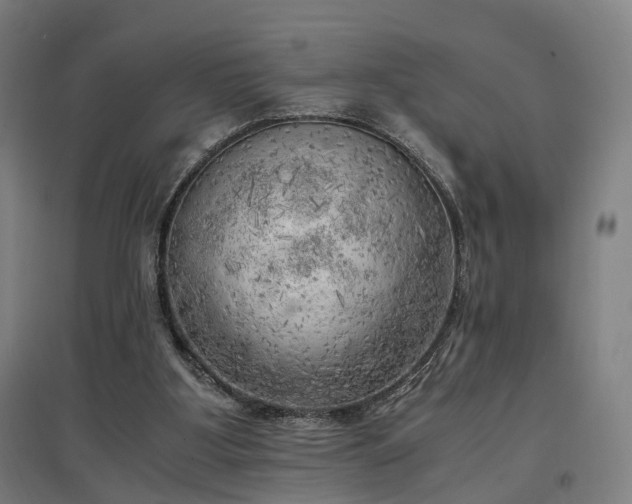 X0000096960107200802151245