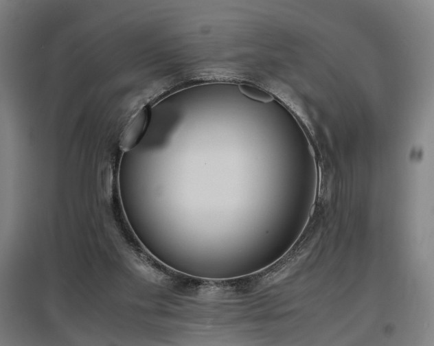 X0000096960109200802151245