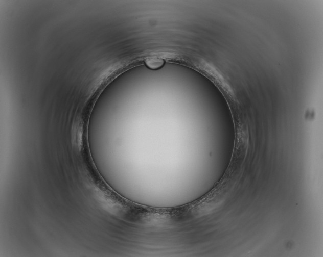 X0000096960110200802151245