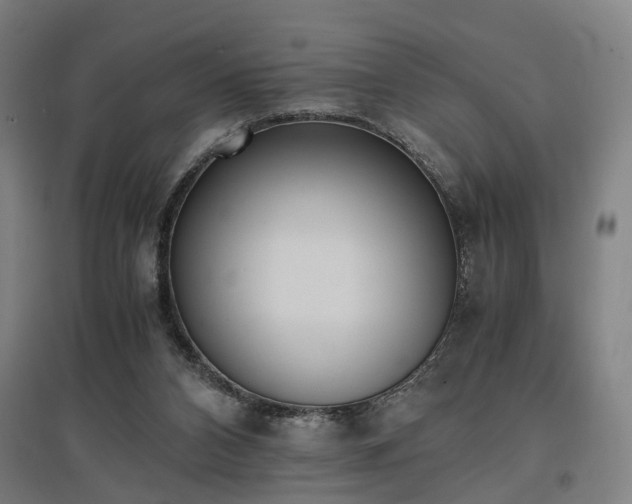 X0000096960112200802151245