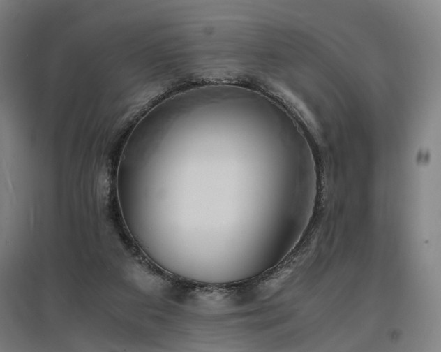 X0000096960113200802151245