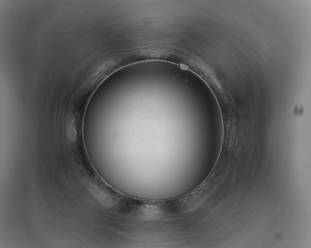 X0000096960114200802151245