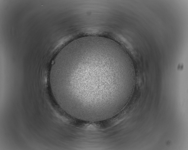 X0000096960115200802151245