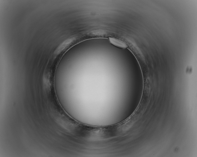 X0000096960116200802151244