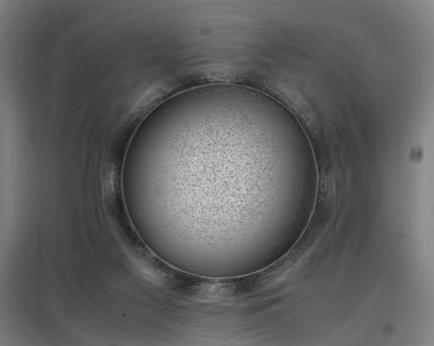 X0000096960117200802151244