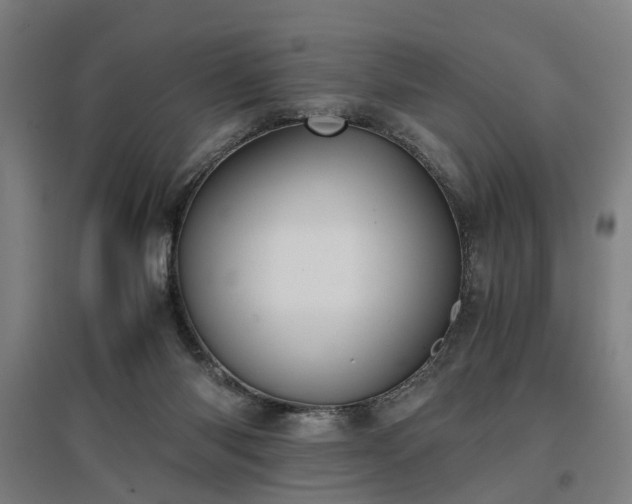 X0000096960118200802151244