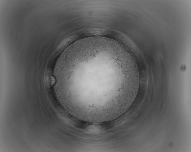 X0000096960119200802151244