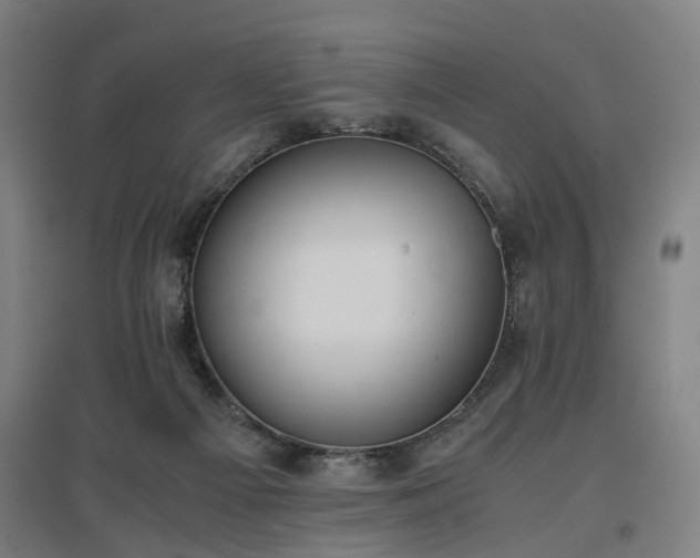 X0000096960121200802151244