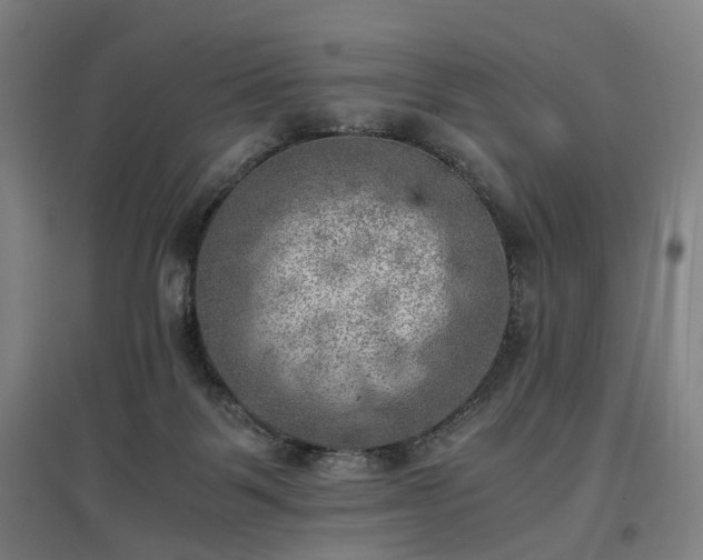 X0000096960123200802151244