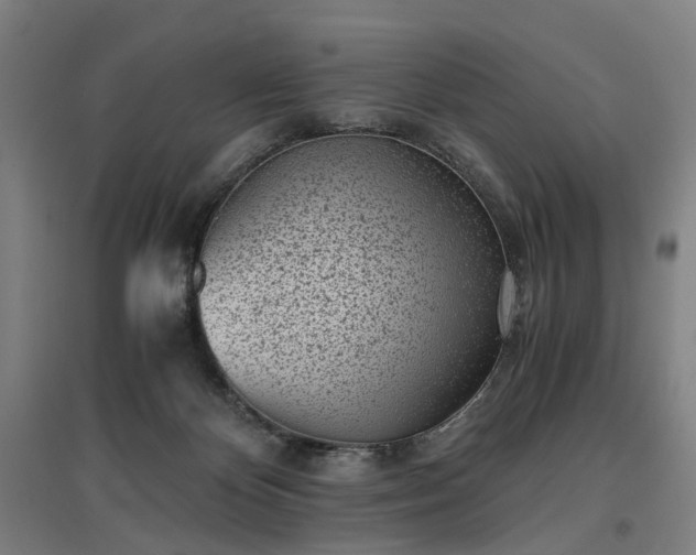 X0000096960124200802151244