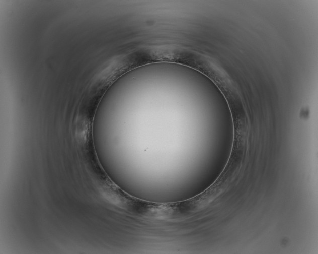 X0000096960125200802151244