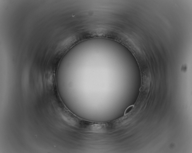 X0000096960126200802151244