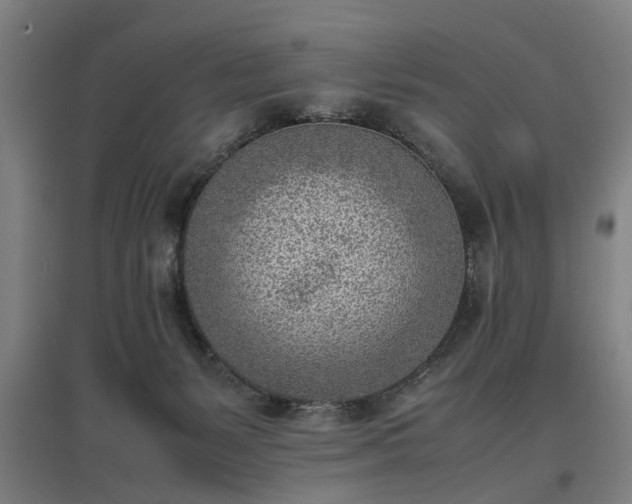 X0000096960127200802151244