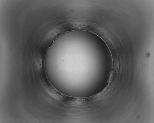 X0000096960128200802151244