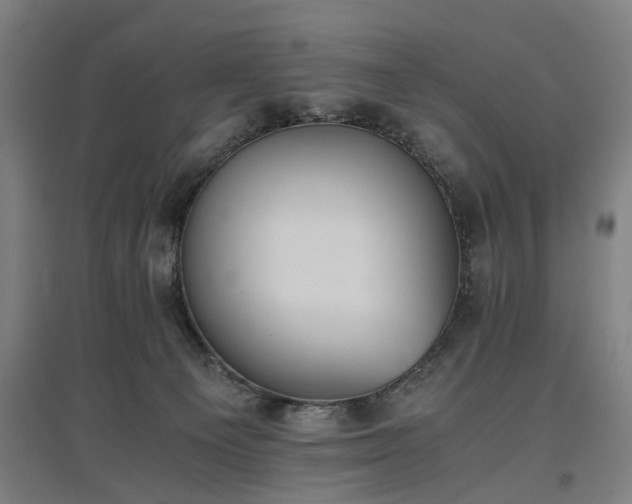 X0000096960129200802151244