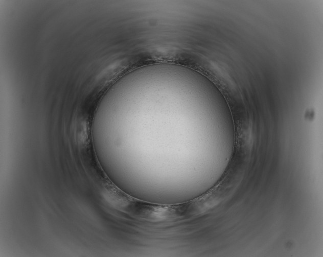 X0000096960130200802151244