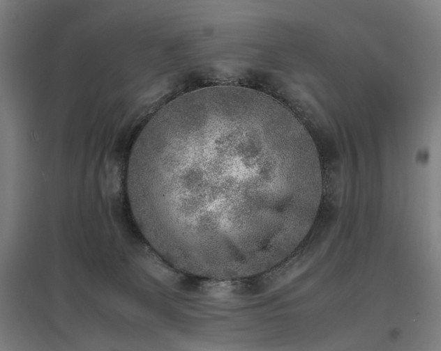 X0000096960131200802151244