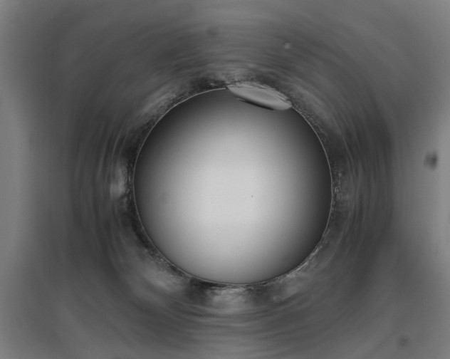 X0000096960132200802151244