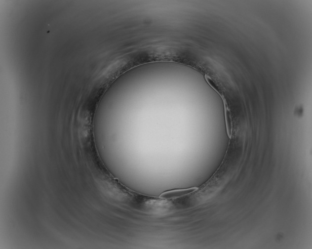 X0000096960133200802151244