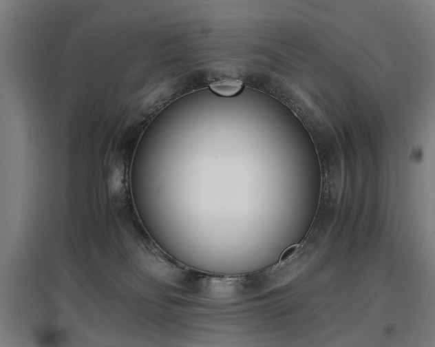 X0000096960134200802151244