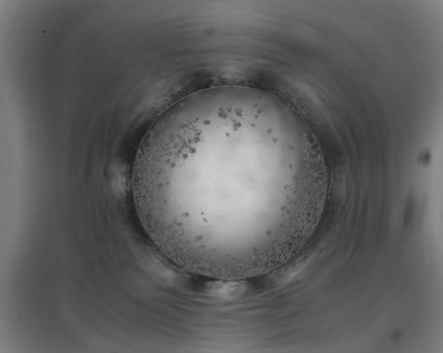 X0000096960135200802151244