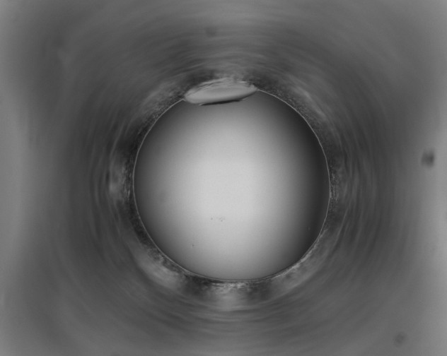 X0000096960136200802151244