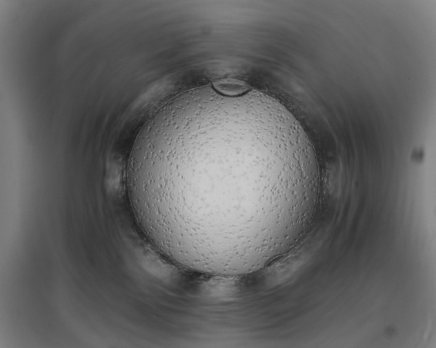 X0000096960138200802151244