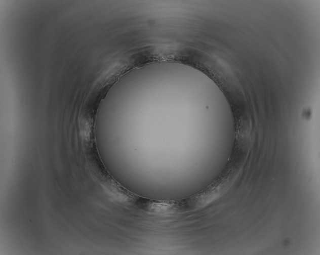 X0000096960139200802151244