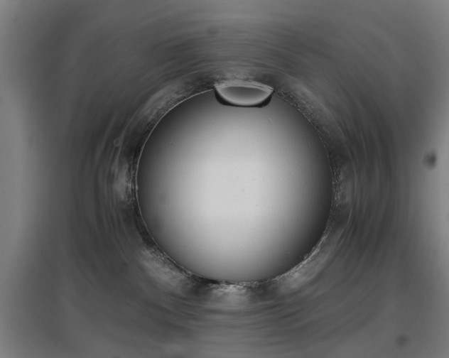 X0000096960140200802151244