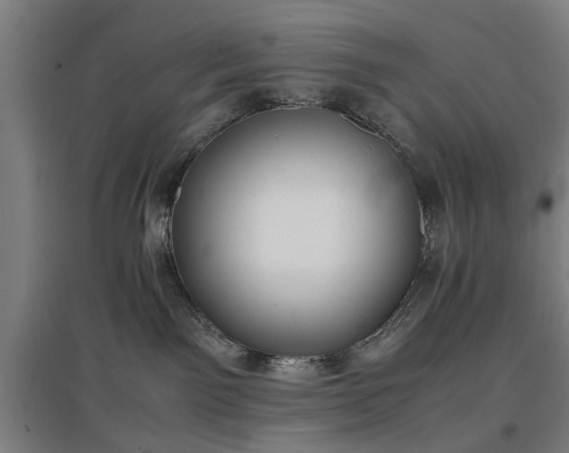 X0000096960141200802151244