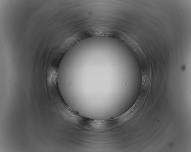 X0000096960142200802151244