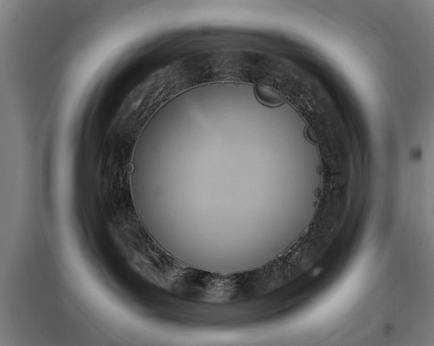 X0000096960143200802151244