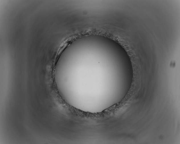 X0000096960144200802151244