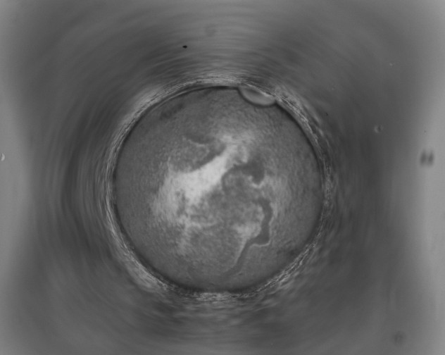 X0000096960145200802151243