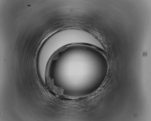 X0000096960146200802151243