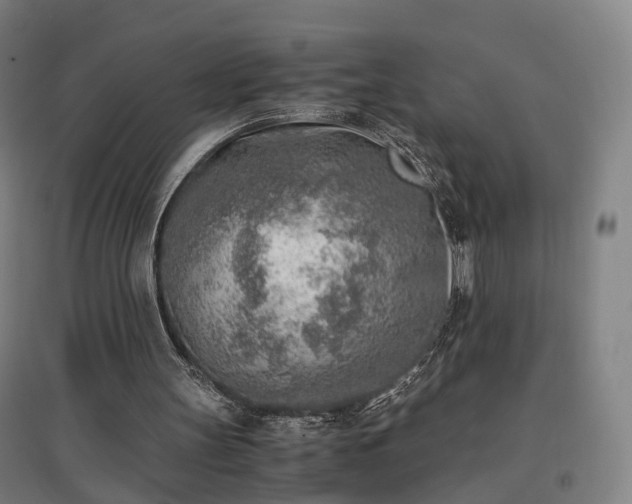 X0000096960147200802151243