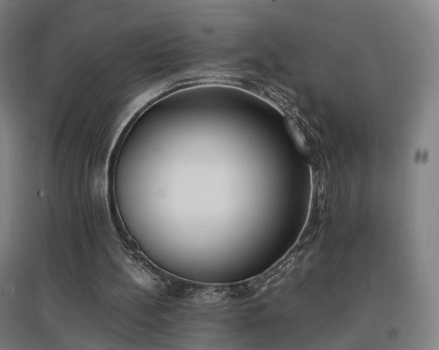 X0000096960148200802151243