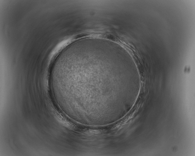 X0000096960149200802151243