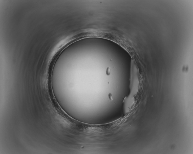 X0000096960150200802151243