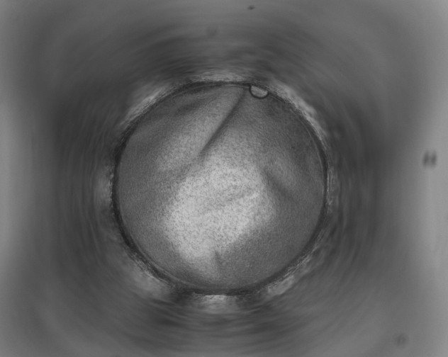 X0000096960153200802151243