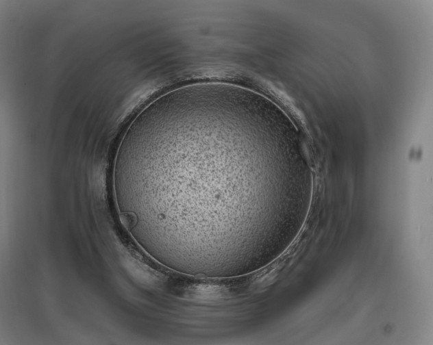 X0000096960154200802151243