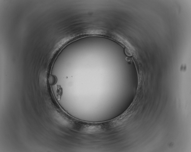 X0000096960155200802151243