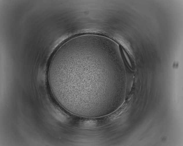 X0000096960156200802151243