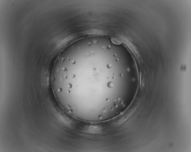 X0000096960157200802151243